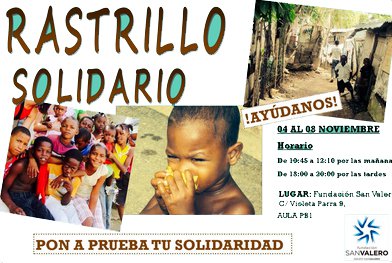 rastrillo_solidario_2013_300x_0